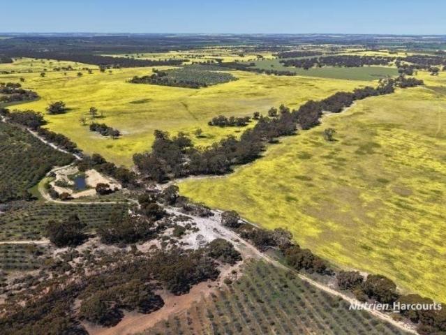 Acreage for sale in Morbinning, Western Australia