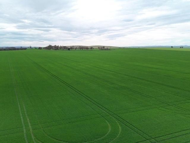 Cottage for sale in Gladstone, South Australia