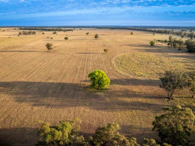 Cottage for sale in Trundle, New South Wales