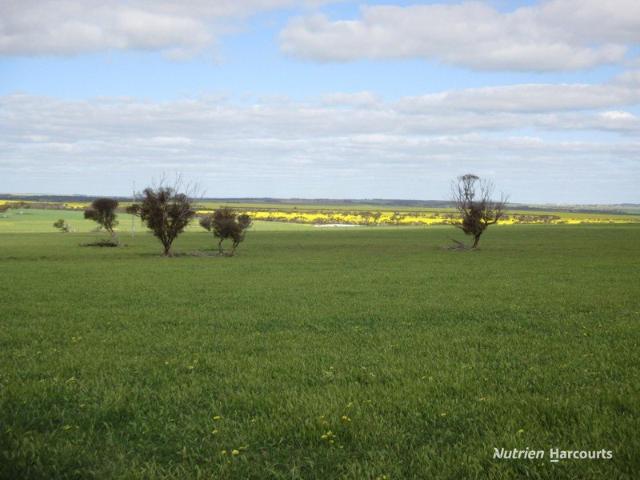 Property for sale in Pingaring, Western Australia