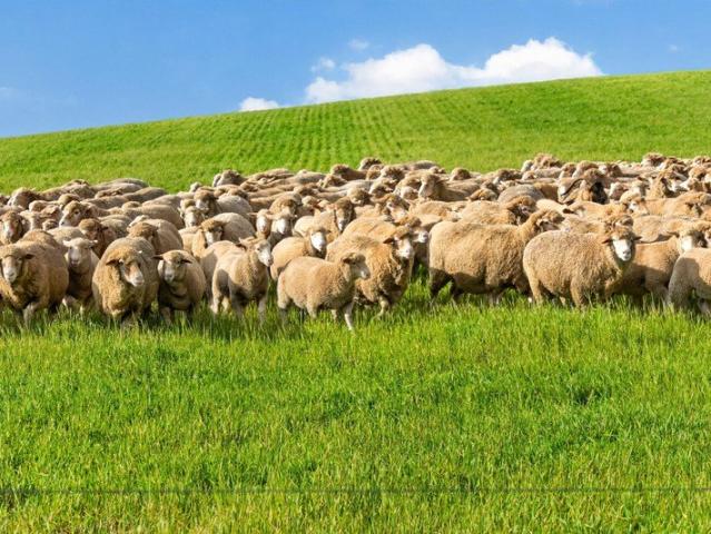 Property for sale in Goyder, South Australia