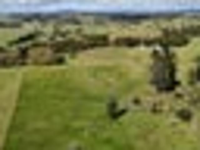 Land for sale in Karetu, Northland