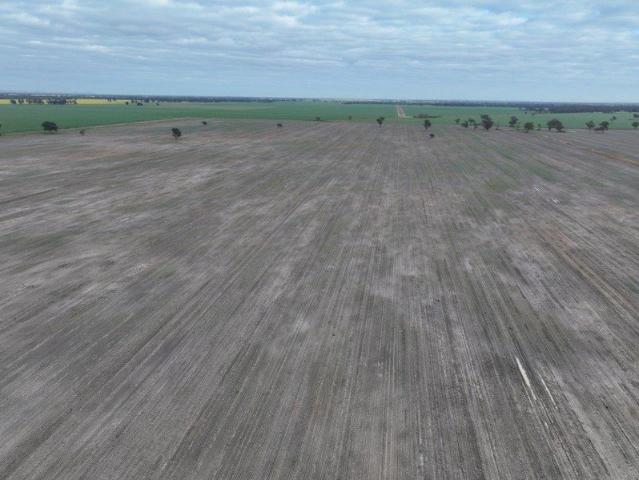 Cottage for sale in Quandialla, New South Wales