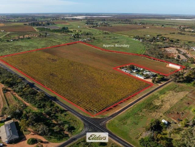 Cottage for sale in Red Cliffs, Victoria