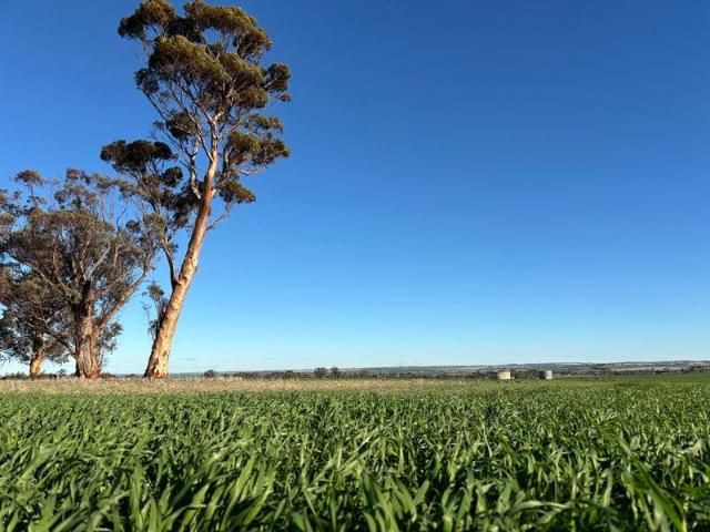 Property for sale in Dangin, Western Australia