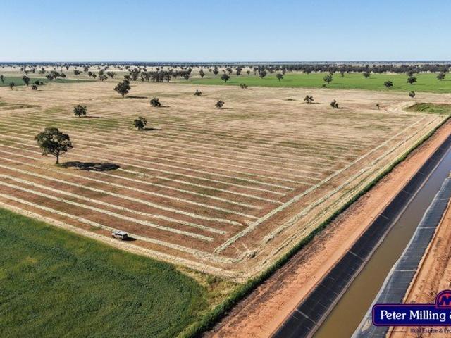Property for sale in Trangie, Narromine Shire Council