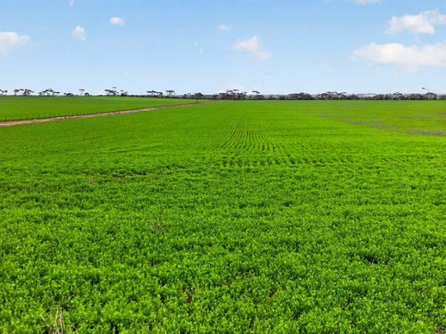Property for sale in Kadina, South Australia