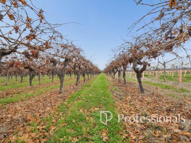 Cottage for sale in Robinvale, Victoria