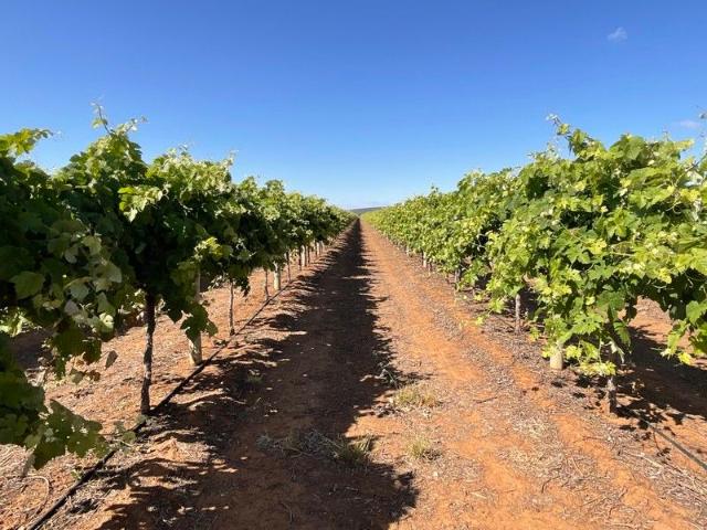 Property for sale in Myall Park, New South Wales