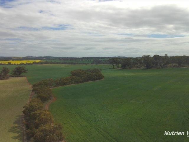 Acreage for sale in Pingelly, Western Australia