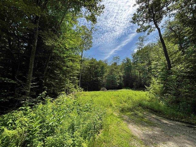 Land for sale in Chester, Windsor County
