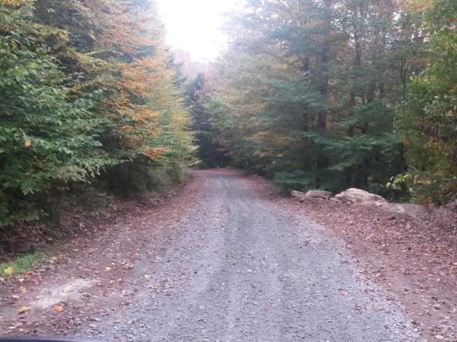 Land for sale in East Branch, New York