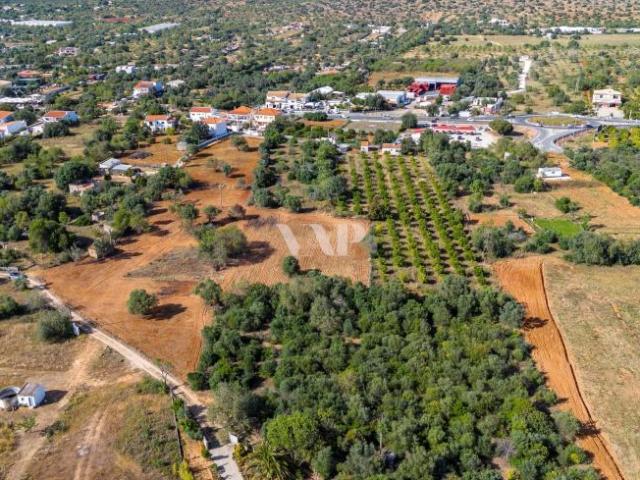 Terreno alugar em Loulé, Faro