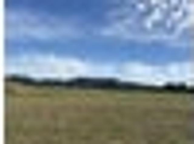 Land for sale in Kawau Island