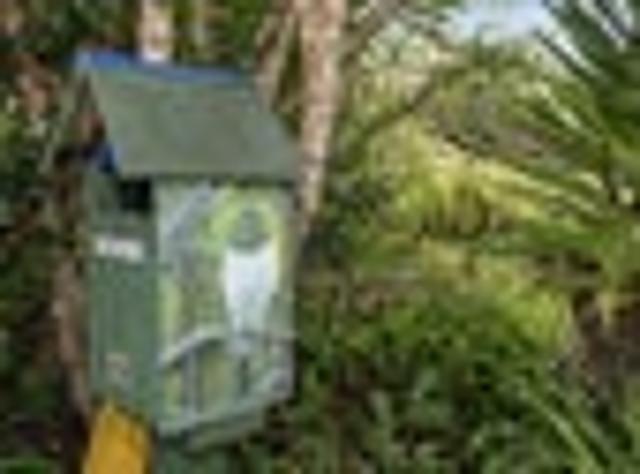 House for sale in Whangarei, Northland