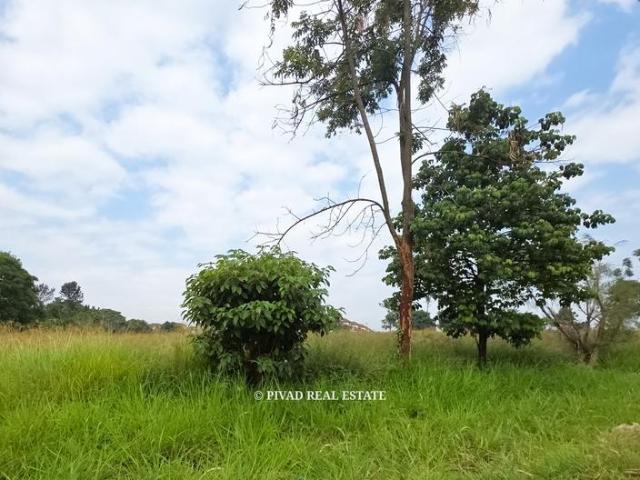 Land for sale in Runda, Kiambu