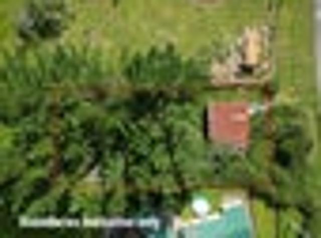 Land for sale in Mamaku, Bay Of Plenty