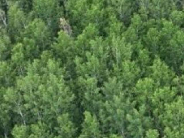 Land for sale in Saskatoon, Saskatchewan