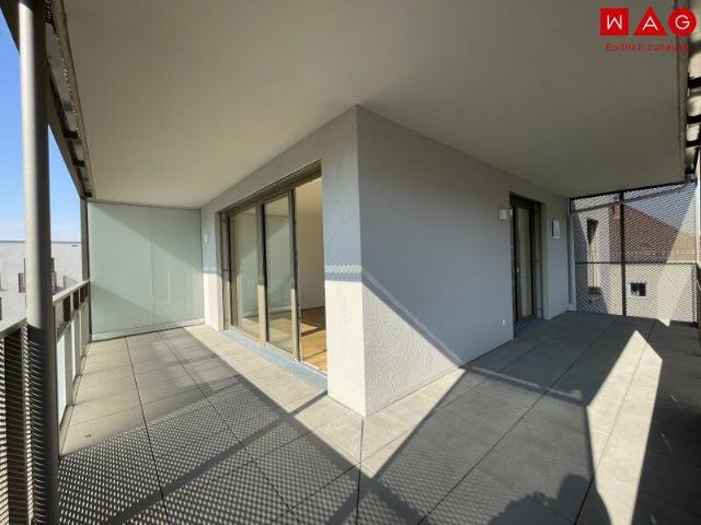 Apartment mieten in Bindermichl-Keferfeld, Linz