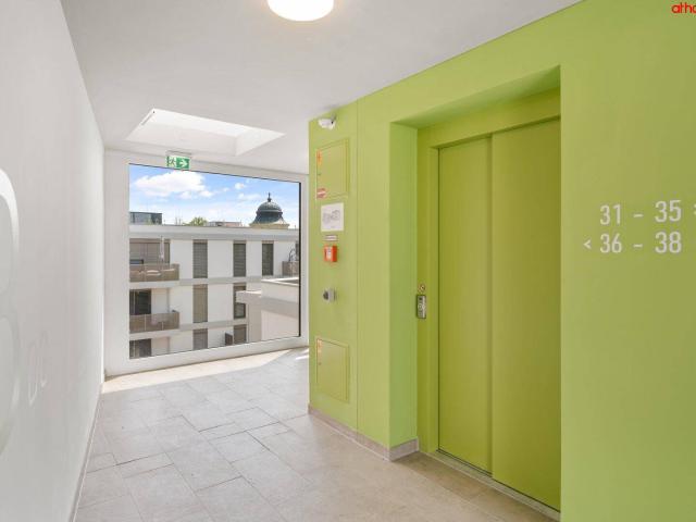 Apartment mieten in Judenau, Judenau-Baumgarten