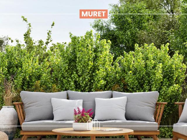 Appartement vente à Muret