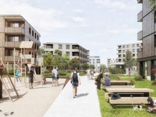 Apartment mieten in Orbe, Waadt