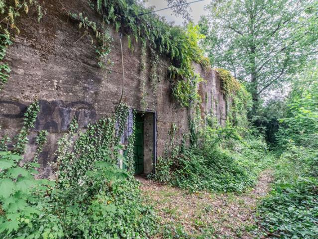 Maison vente à Nantes, Université de Nantes - Campus Michelet