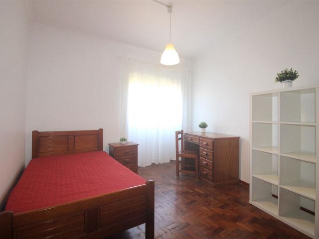Quarto alugar em Coimbrã, Sé Nova