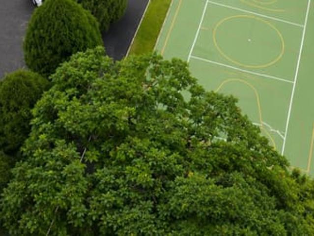 Apartamento aluguel em Região Geográfica Imediata de Blumenau, Blumenau