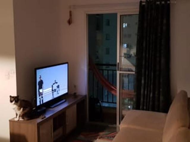 Apartamento aluguel em Região Imediata de Campinas, Região Metropolitana de Campinas