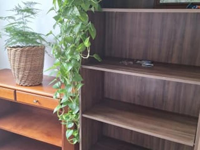 Apartamento aluguel em Região Geográfica Imediata de Blumenau, Blumenau