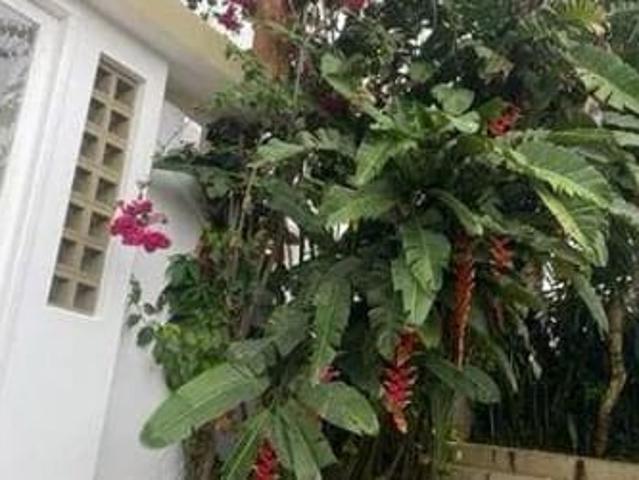 Casa aluguel em Região Geográfica Imediata de Florianópolis, Desterro