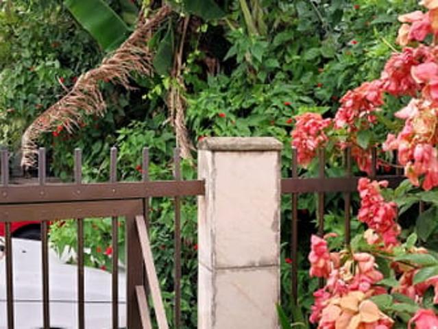 Casa aluguel em Região Geográfica Imediata de Florianópolis, Desterro