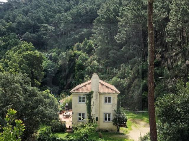 Apartamento alugar em Sintra, Lisboa