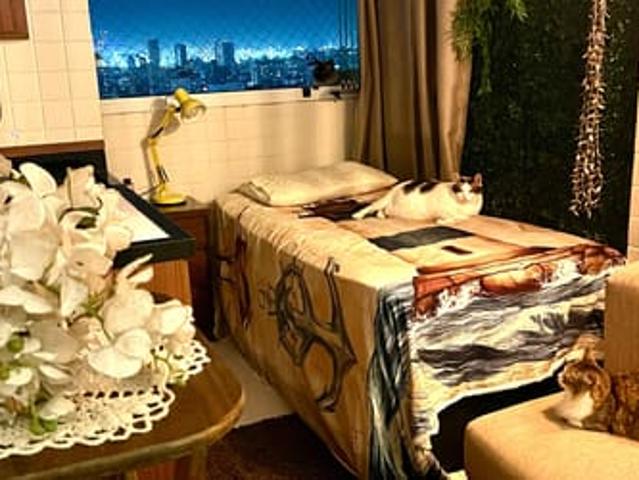 Apartamento aluguel em Região Imediata de Santos, Região Metropolitana da Baixada Santista
