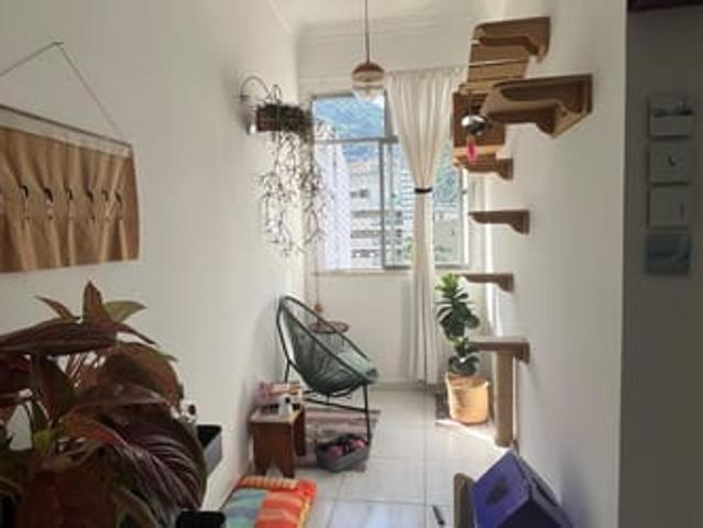 Apartamento aluguel em Santa Marta, Rio de Janeiro