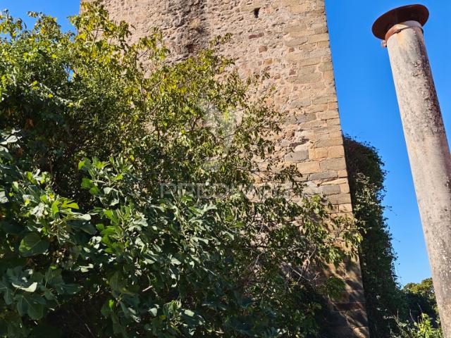 Quarto alugar em Sé, Portalegre