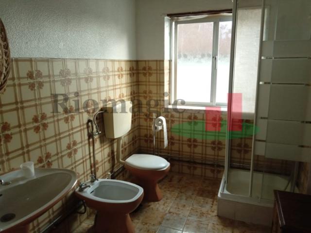 Room alugar em Rio Maior