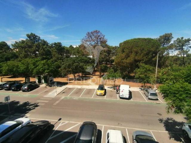 Quarto alugar em Moita