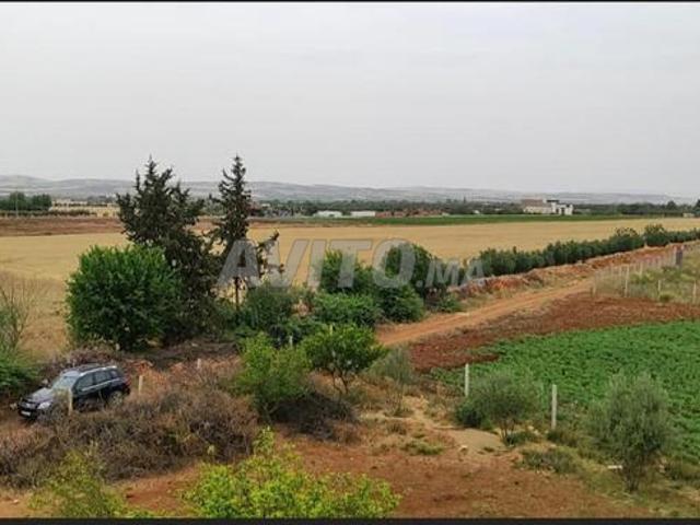 Propriété vente à Ait Ouallal