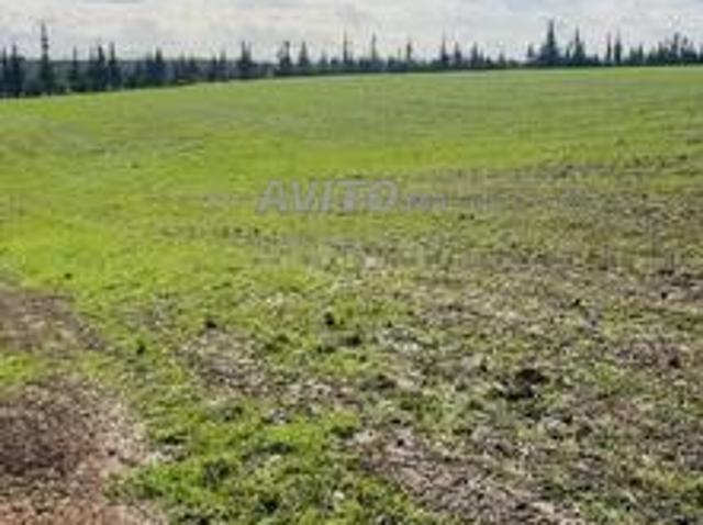 Propriété vente à Lyautey