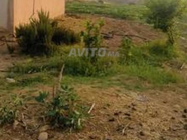 Propriété vente à Sidi Allal El Bahraoui