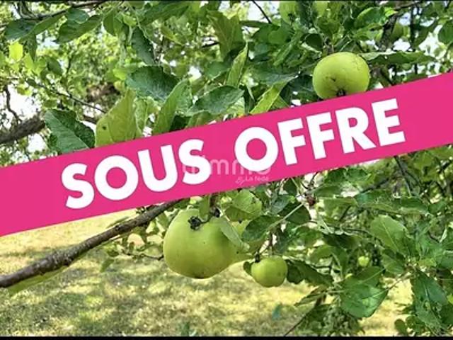 Terrain vente à Quatzenheim, Collectivité européenne d'Alsace