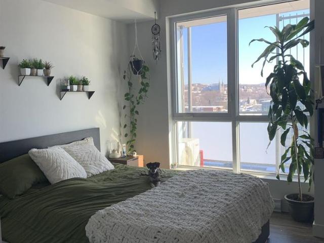 Apartment for rent in Québec, Quebec