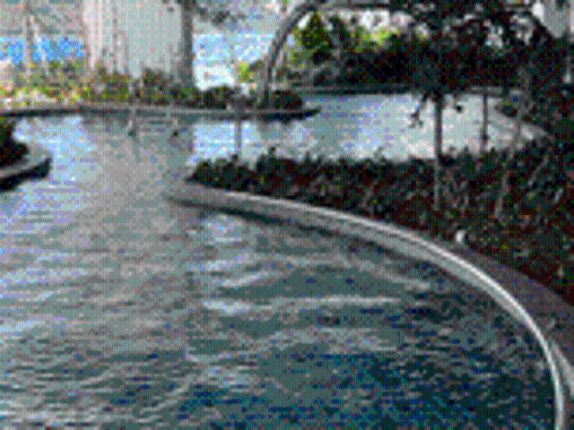 Apartment for rent in Georgetown, Penang
