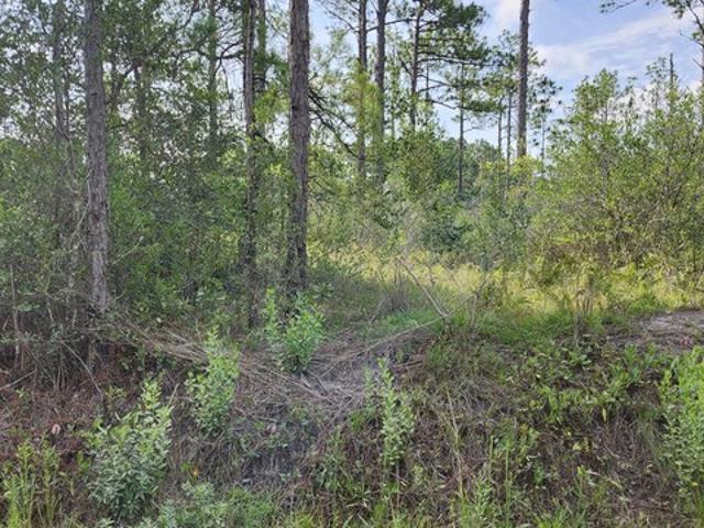 Land for sale in Southport, North Carolina