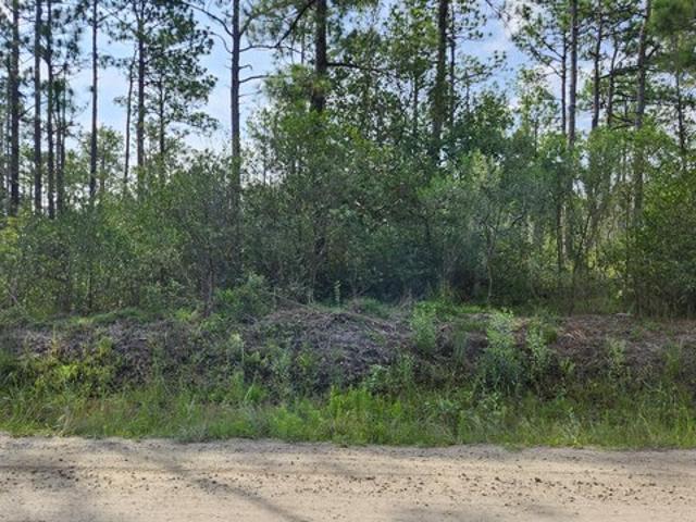 Land for sale in Southport, North Carolina