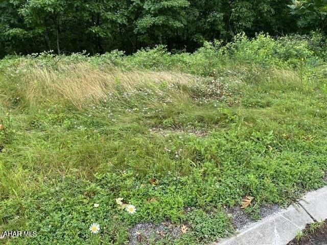 Land for sale in Altoona, Blair County