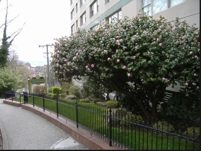 Apartment for rent in Seattle, Washington