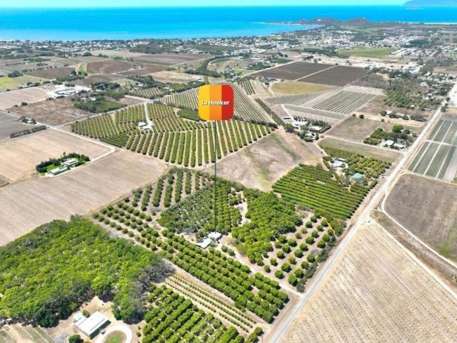 House for sale in Bowen, Whitsunday Regional